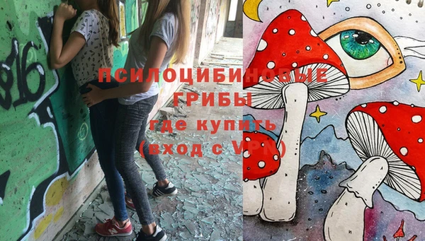 кристаллы Мегион